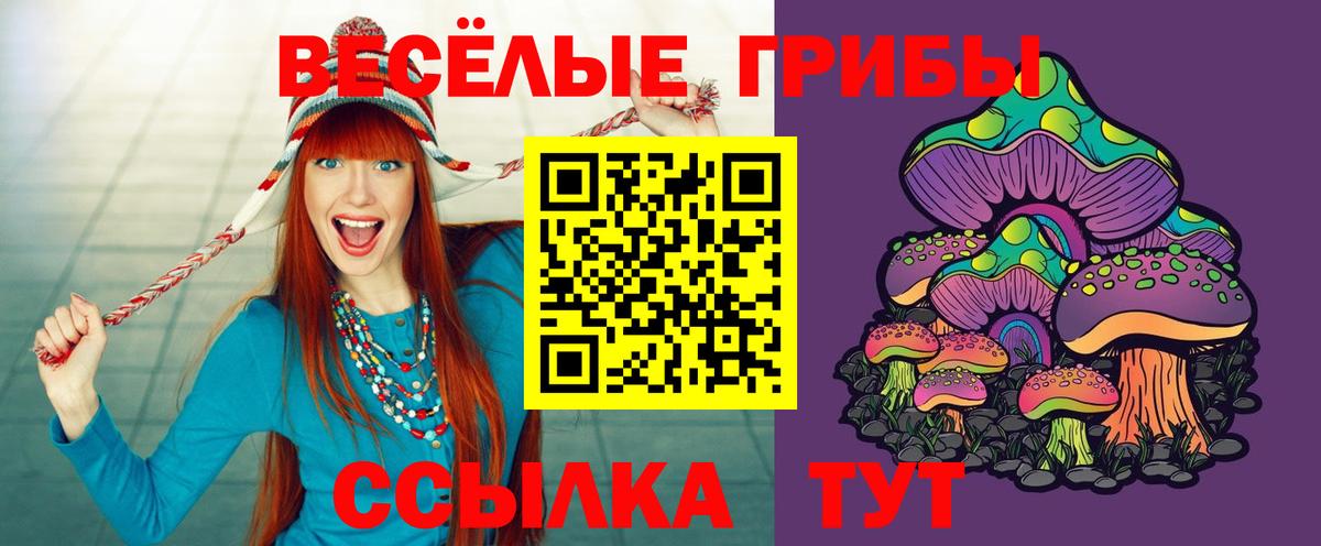 Галлюциногенные грибы Cubensis Амурск
