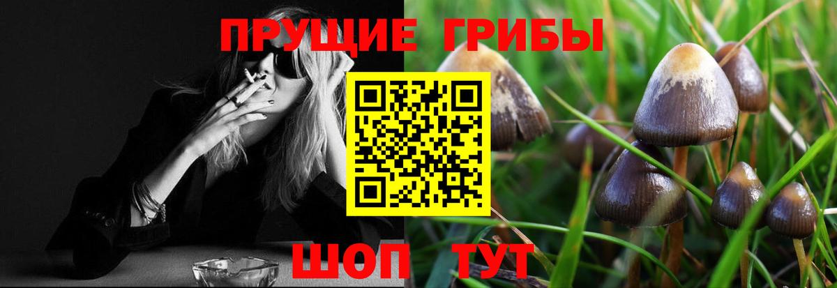 Амурск  Псилоцибиновые грибы Cubensis  где можно купить   Вход с VPN 